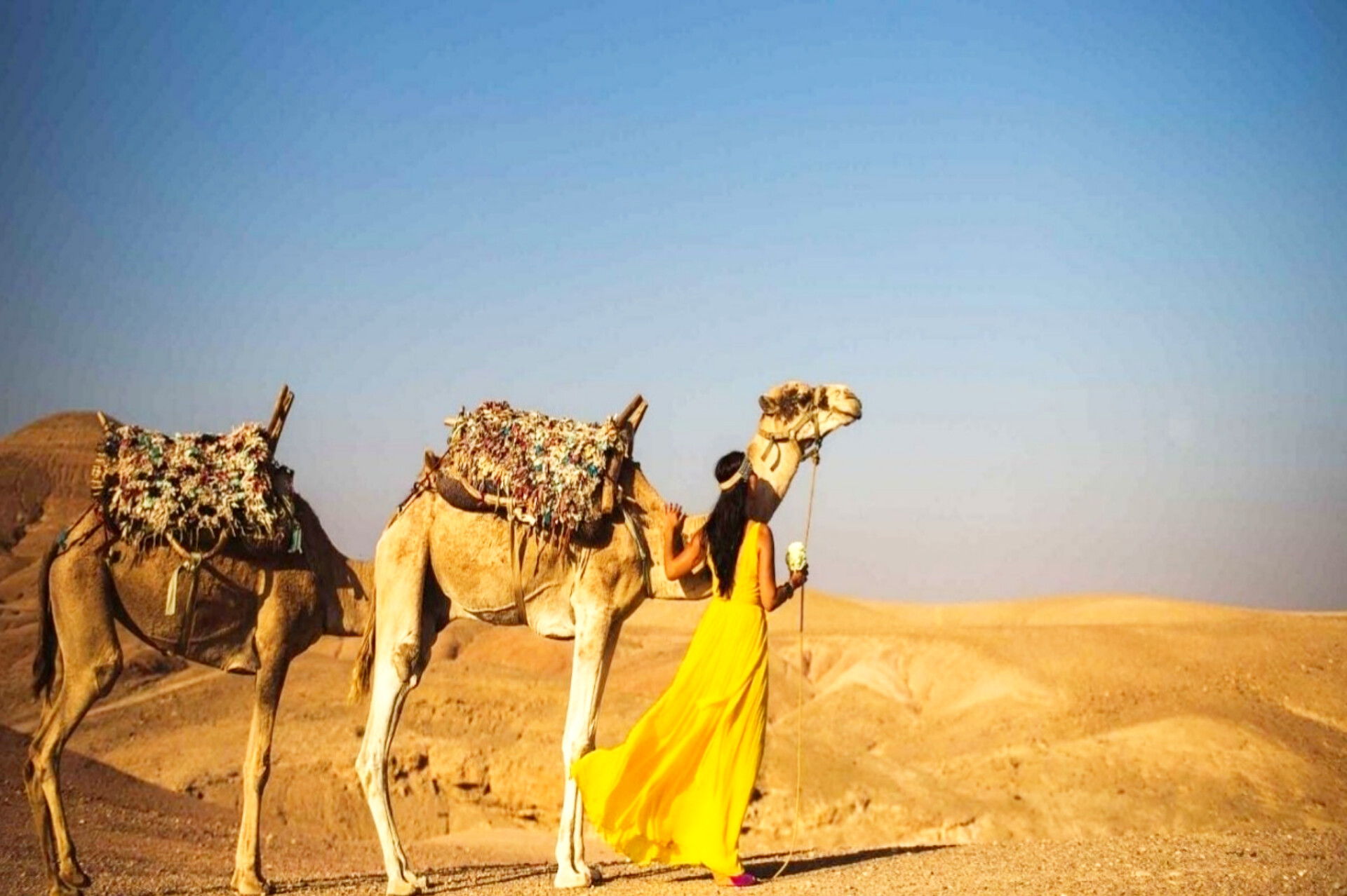 Sunset Camel Ride in the Agafay Desert