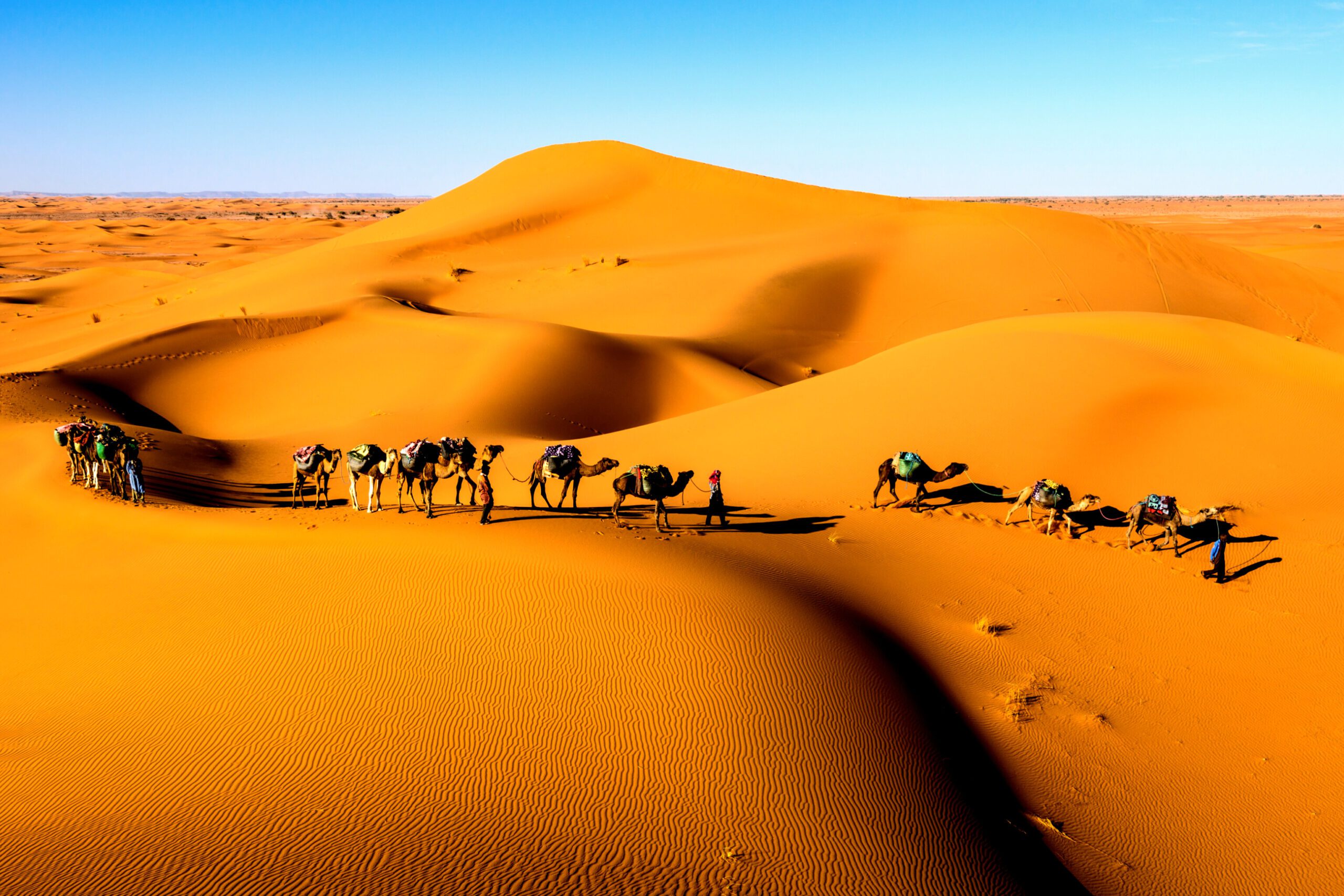 3 Days Tour from Marrakech to Fes Via the Desert